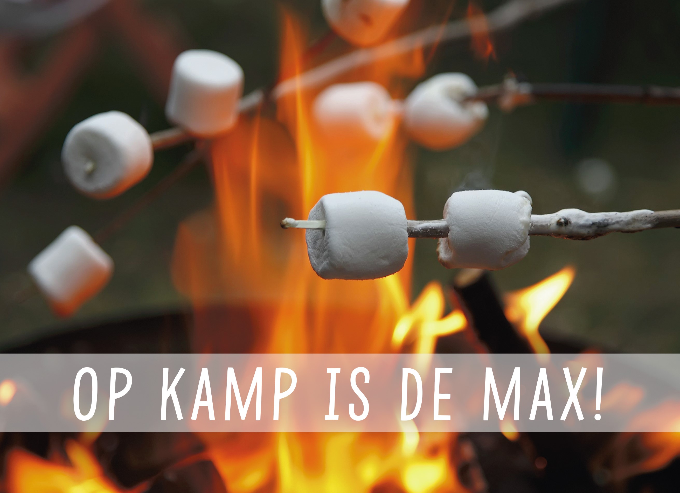 Hallmark Kaart | Op kamp | Op kamp is de max