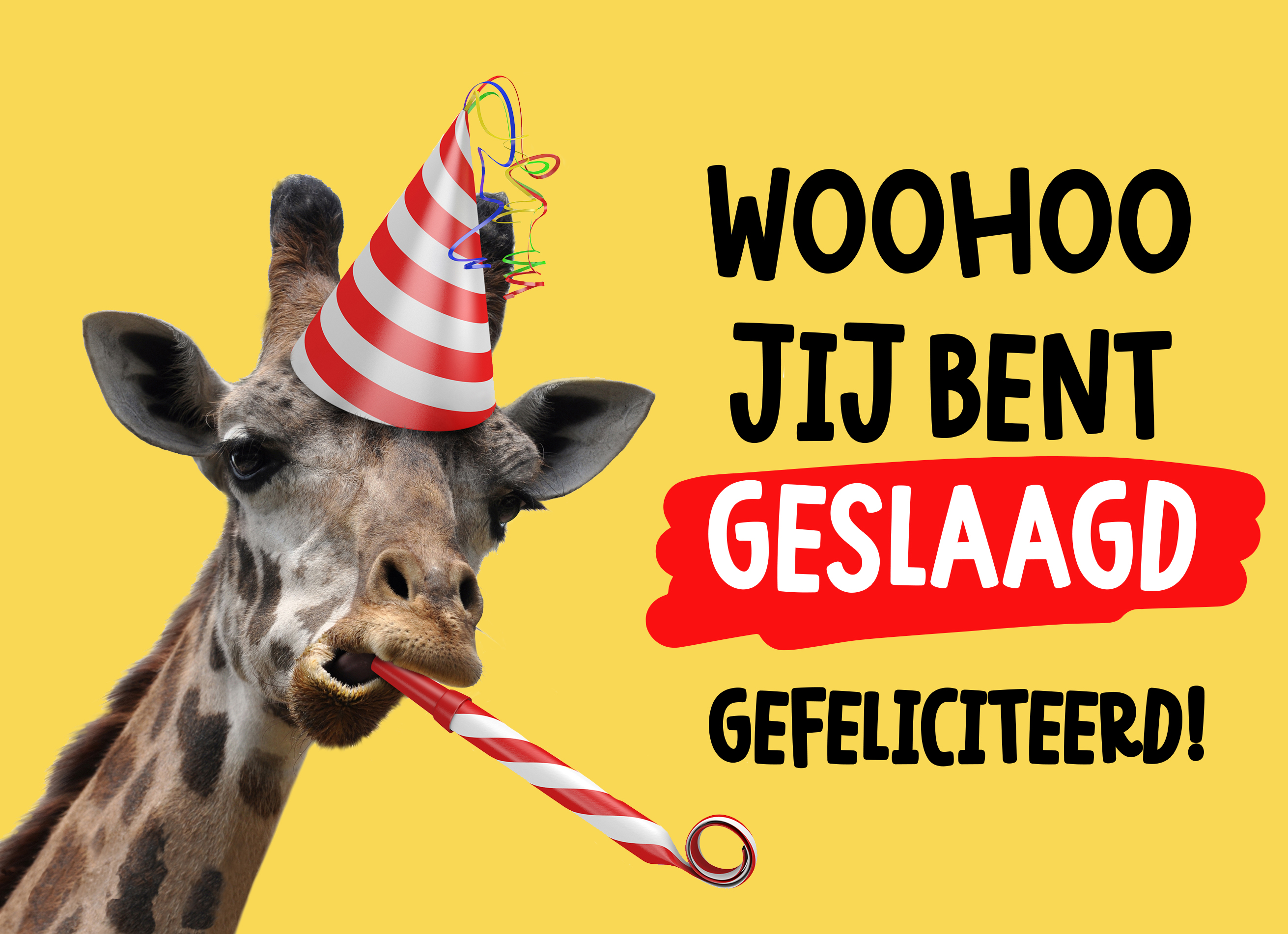 Hallmark Kaart | Diploma | Geslaagd kaart giraf met feestmuts