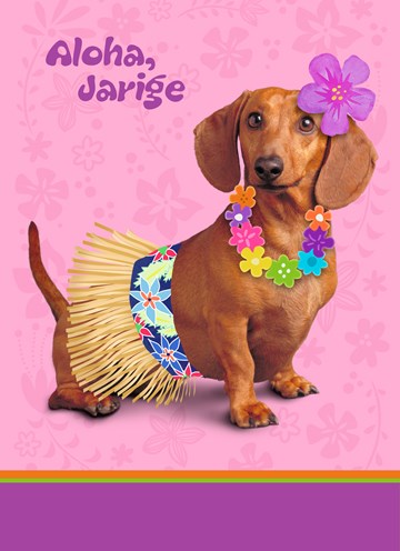 De 7 Beste Afbeeldingen Van Hond Verjaardag Hond Verjaardag
