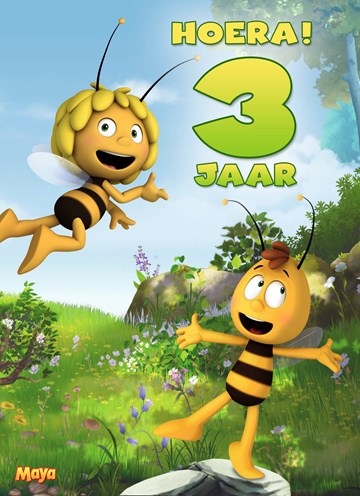 Bol Com Verjaardagskaart 3 Jaar