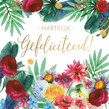 Spiksplinternieuw Kaarten Gefeliciteerd | Hallmark IB-65