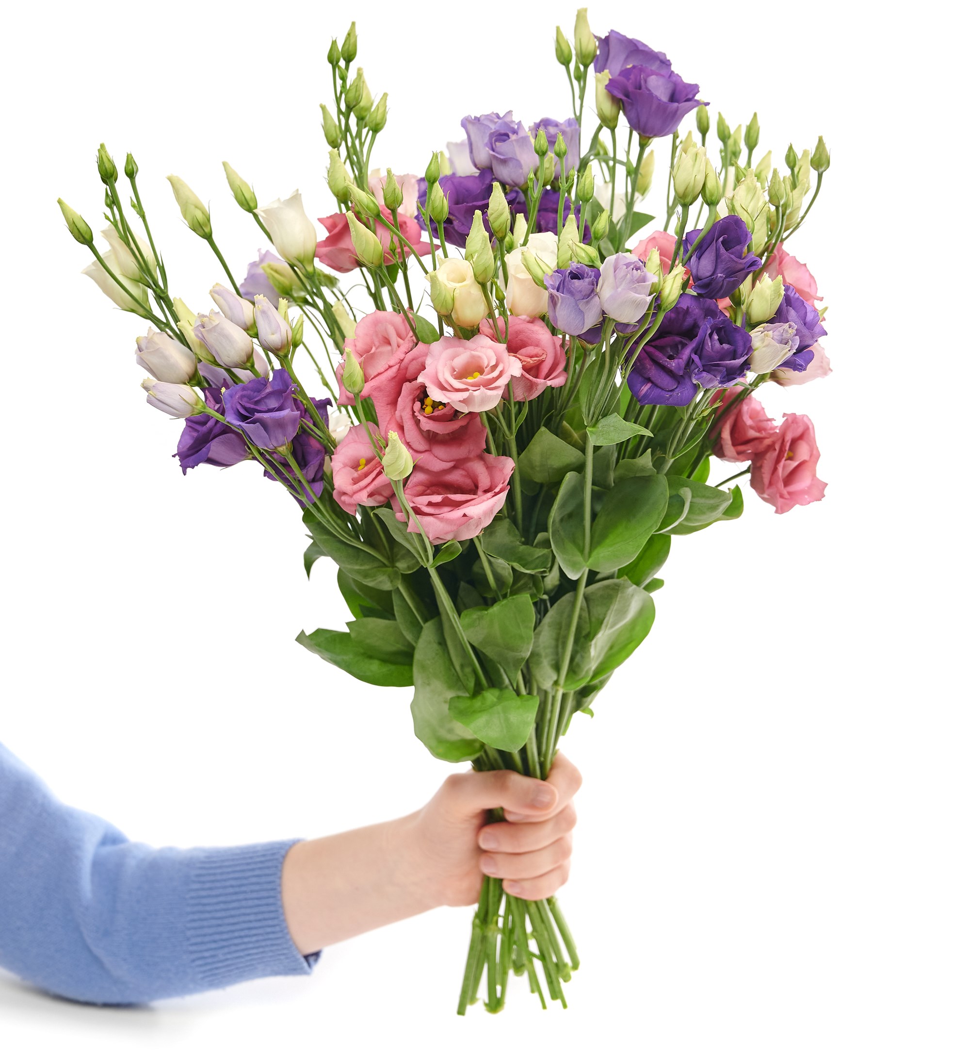 Caroline stewardess Haarvaten Prachtige bloemen voor een huwelijk | Hallmark